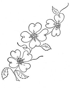 236x295 Images Of Dogwood Template Printable - Dogwood Line Drawing