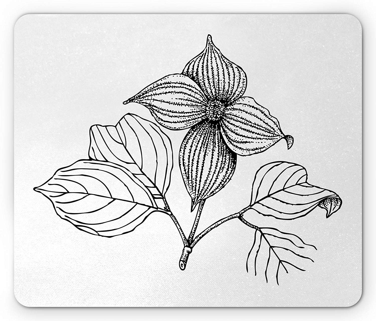 1500x1280 Dogwood Flower Mouse Pad, Plant Cornus Kousa Hand - Dogwood Line Drawing