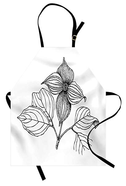 409x606 lunarable dogwood flower apron, plant cornus kousa - Dogwood Line Drawing
