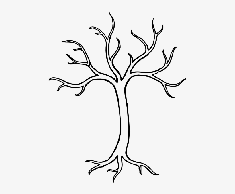 820x675 Dogwood Tree Drawing - Dogwood Tree Drawing
