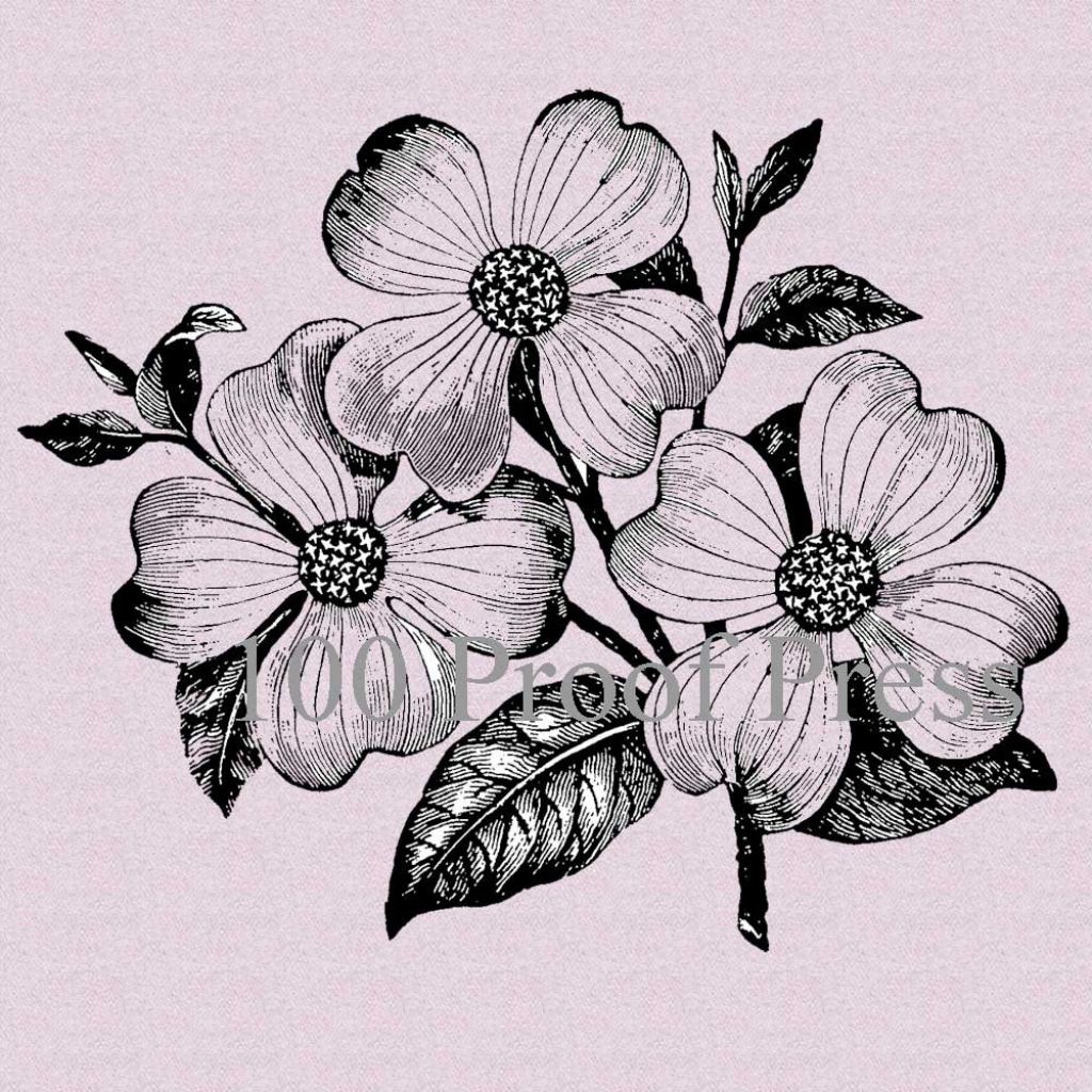 1024x1024 Image Result For Dogwood Tree Flower Drawing Tattoos Dogwood - Dogwood Tree Drawing