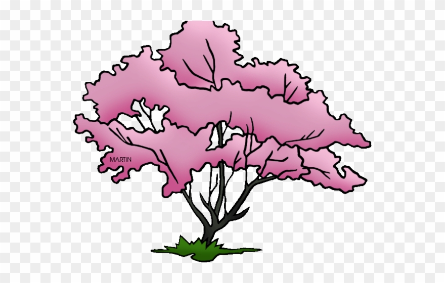 880x560 Pretty Clipart Dogwood Tree - Dogwood Tree Drawing