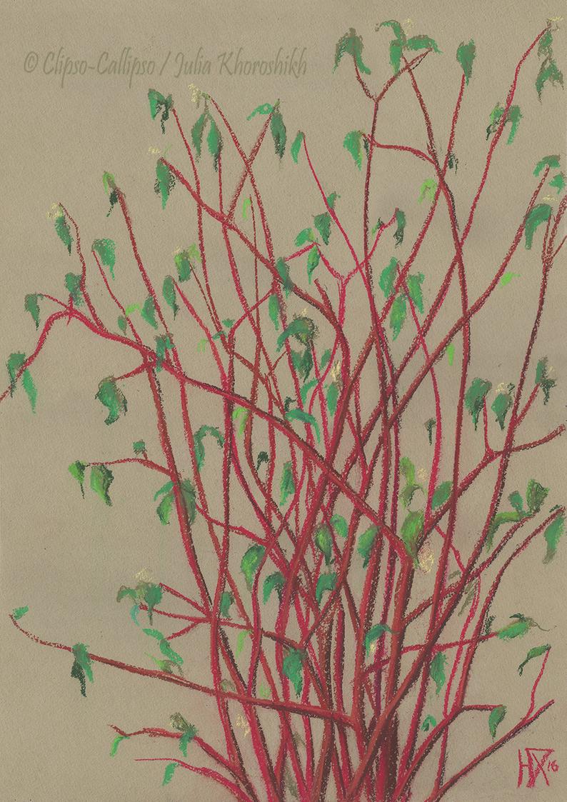 794x1123 red twigs dogwood tree branches spring plants green leaves etsy - Dogwood Tree Drawing