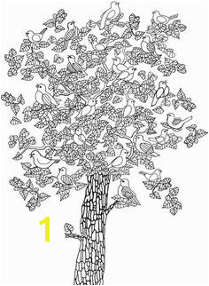 236x322 Dogwood Tree Coloring - Dogwood Tree Drawing