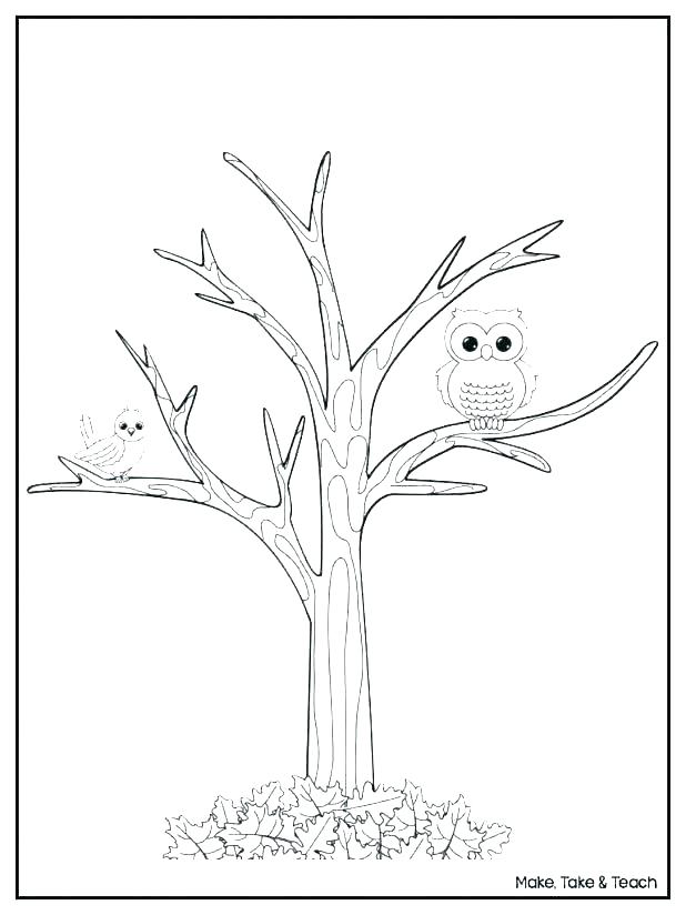 618x824 Dogwood Tree Coloring - Dogwood Tree Drawing