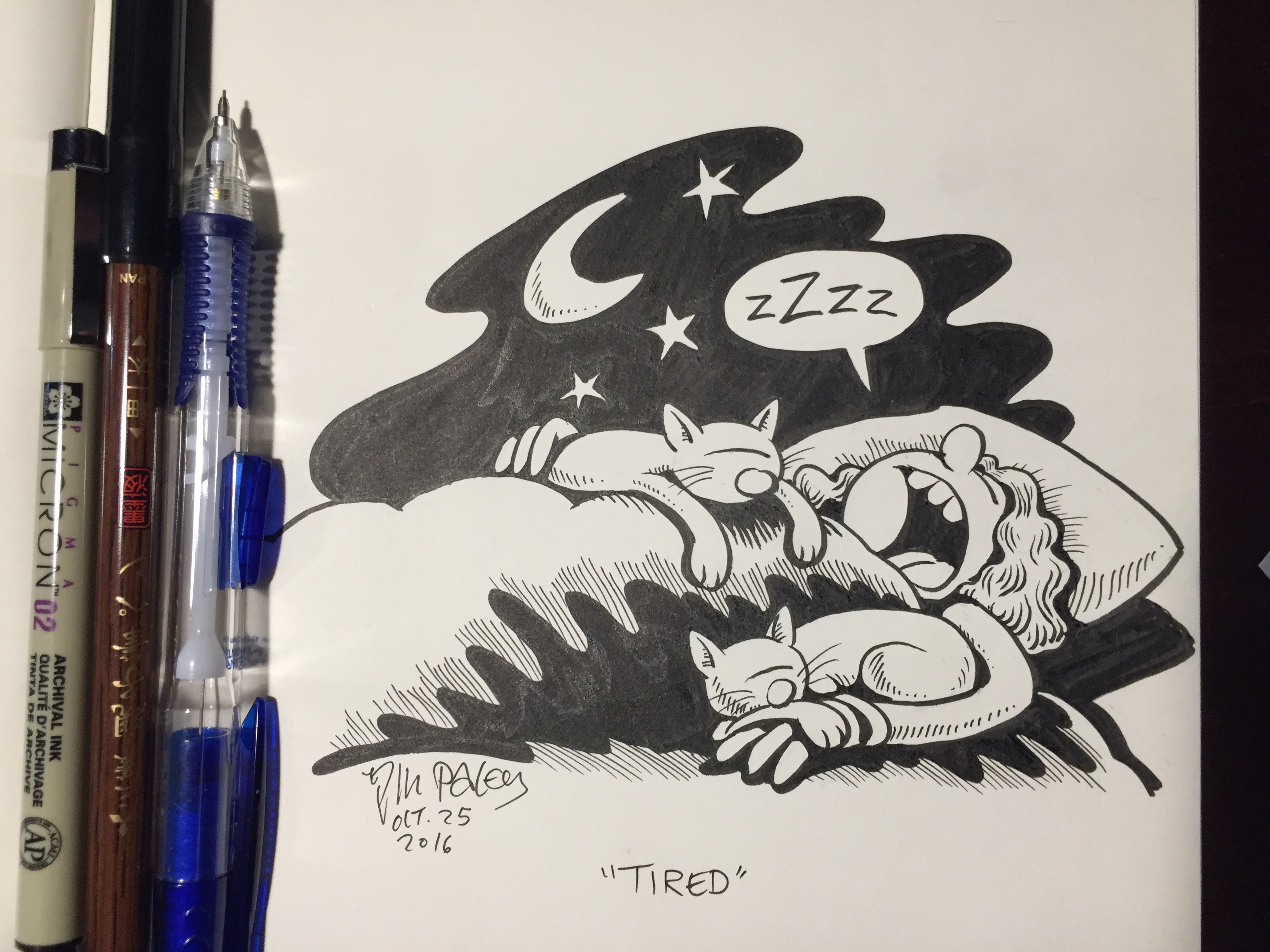 3264x2448 introducing hundred dollar drawings! nina paley's blog - Dollar Drawing