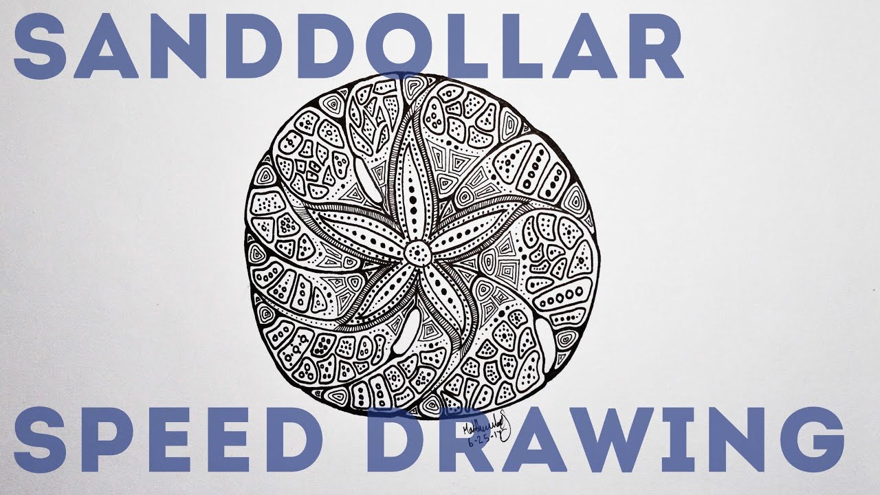 1280x720 Sand Dollar Drawing Abstract Art Speed Drawing - Dollar Drawing