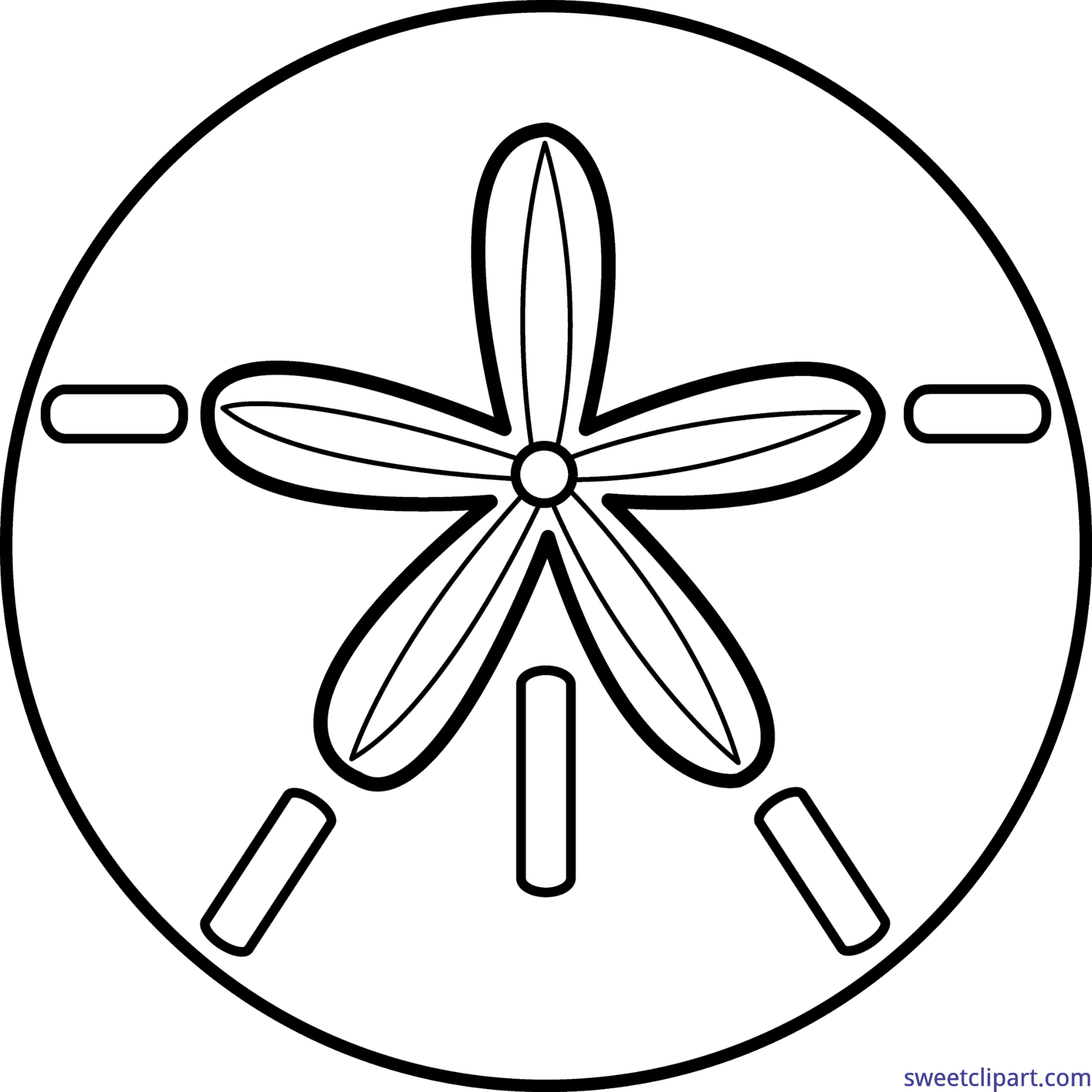 4745x4745 Sand Dollar Drawing - Dollar Drawing