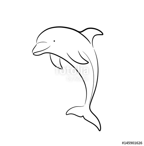 495x500 Dolphin Line Art Doodle, A Hand Drawn Vector Cartoon Illustration - Dolphin Cartoon Drawing
