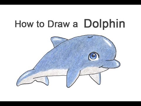 480x360 How To Draw A Dolphin - Dolphin Cartoon Drawing