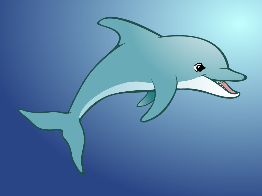 1024x768 Dolphin - Dolphin Cartoon Drawing