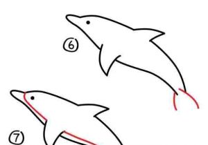 300x210 how drawing dolphin cartoon to draw a cartoon dolphin - Dolphin Cartoon Drawing