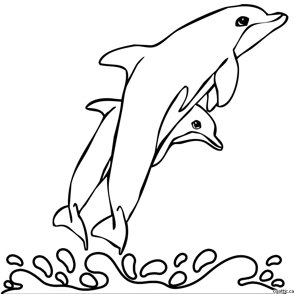 1000x1000 Cartoon Dolphin Drawing In Steps With Photoshop - Dolphin Cartoon Drawing