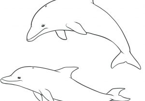 300x210 dolphin cartoon drawing how to draw a cartoon dolphin - Dolphin Cartoon Drawing