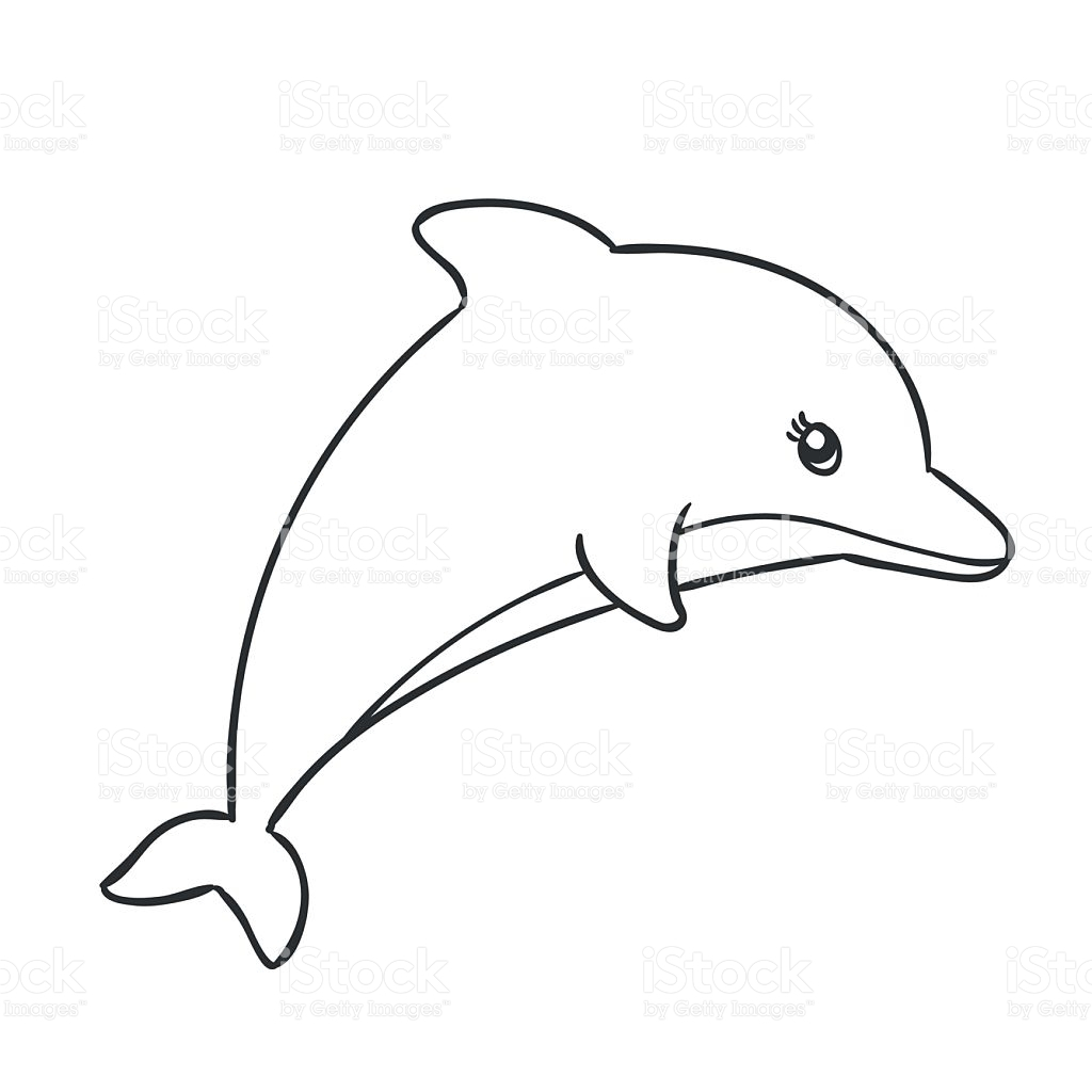 1024x1024 Dolphin Drawing Free Download - Dolphin Drawing