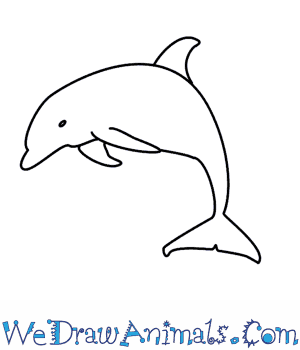 300x350 How To Draw A Dolphin - Dolphin Drawing