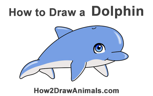 500x315 How To Draw A Dolphin - Dolphin Drawing