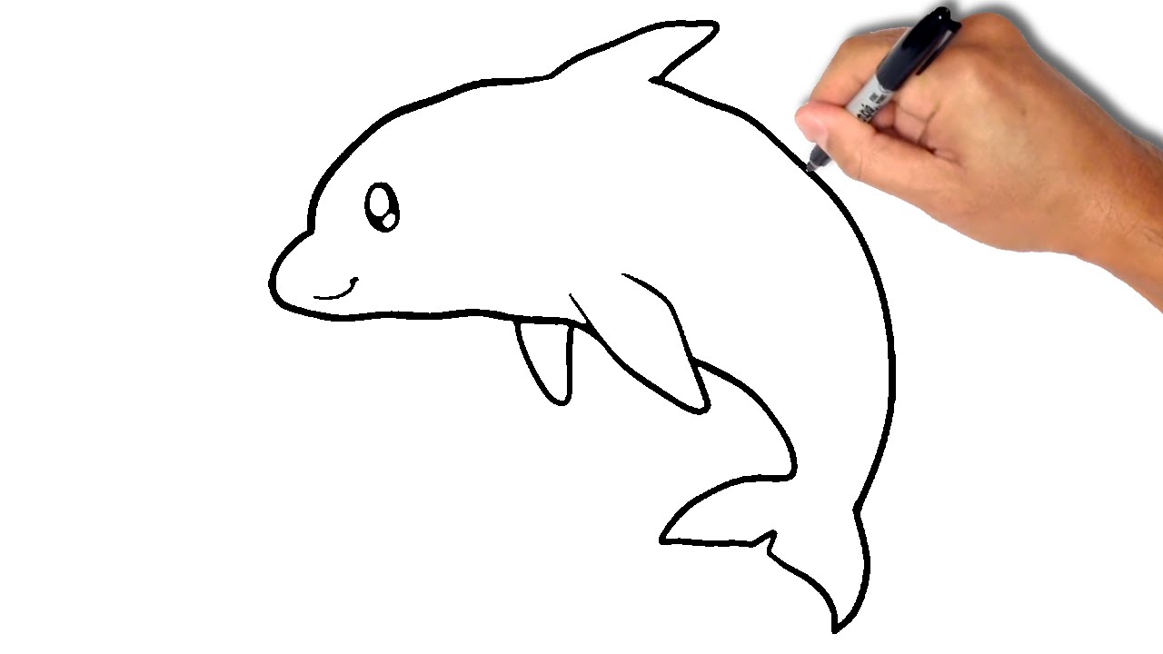 1280x720 How To Draw A Dolphin - Dolphin Drawing