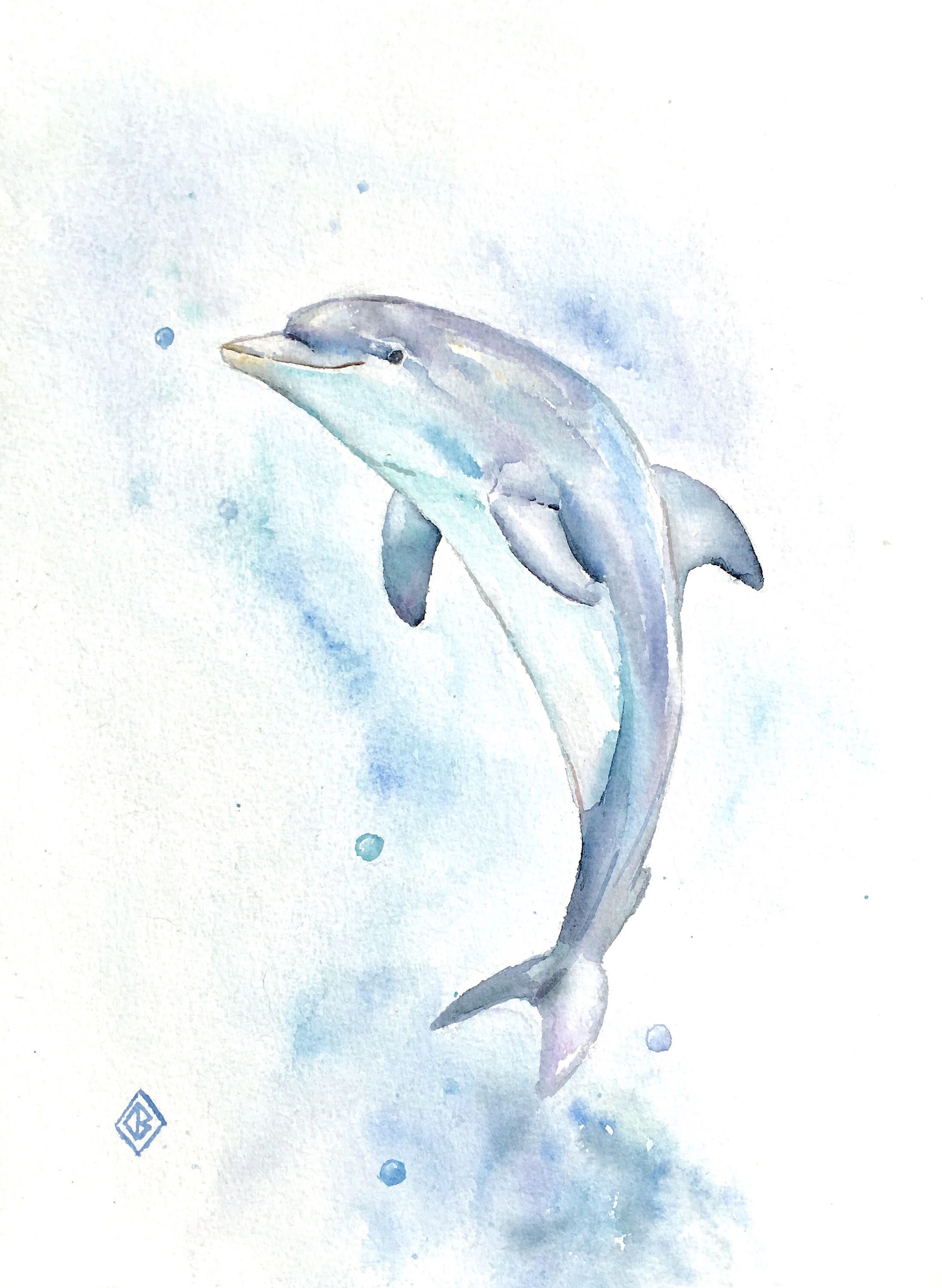 2193x3000 Dolphin - Dolphin Drawing