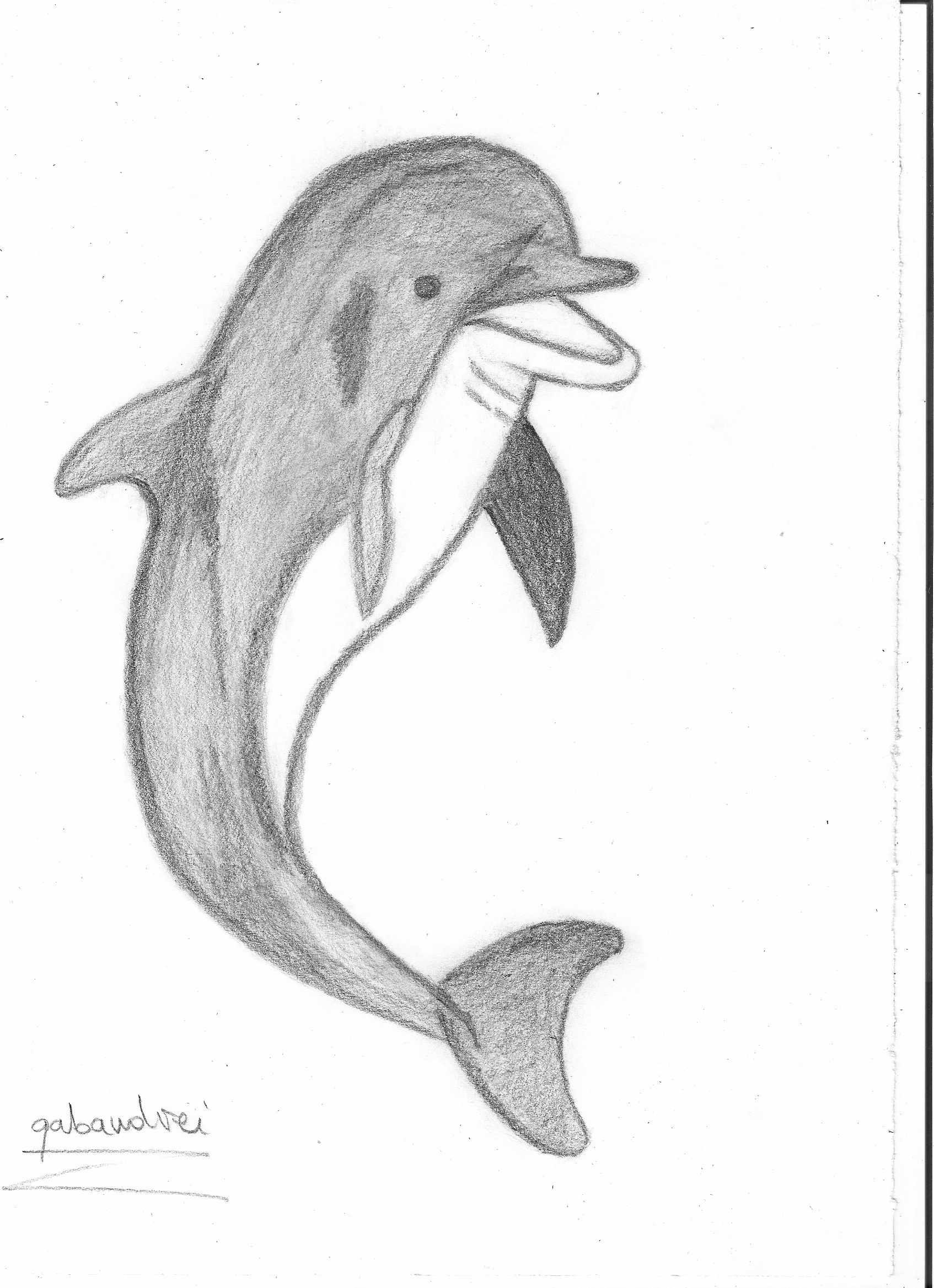 1694x2337 Talking Dolphin - Dolphin Drawing