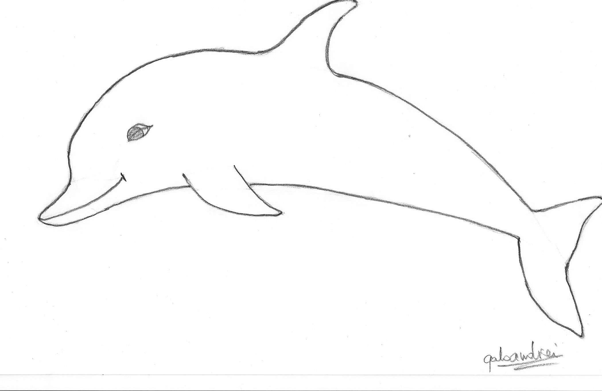 2098x1364 Wise Dolphin - Dolphin Drawing