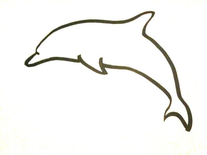 800x599 How To Draw A Dolphin - Dolphin Drawing