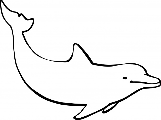 615x460 Dolphin Drawing Free Stock Photo - Dolphin Drawing