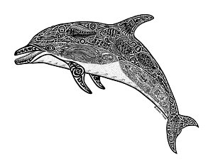300x232 Dolphin Drawings Fine Art America - Dolphin Drawing
