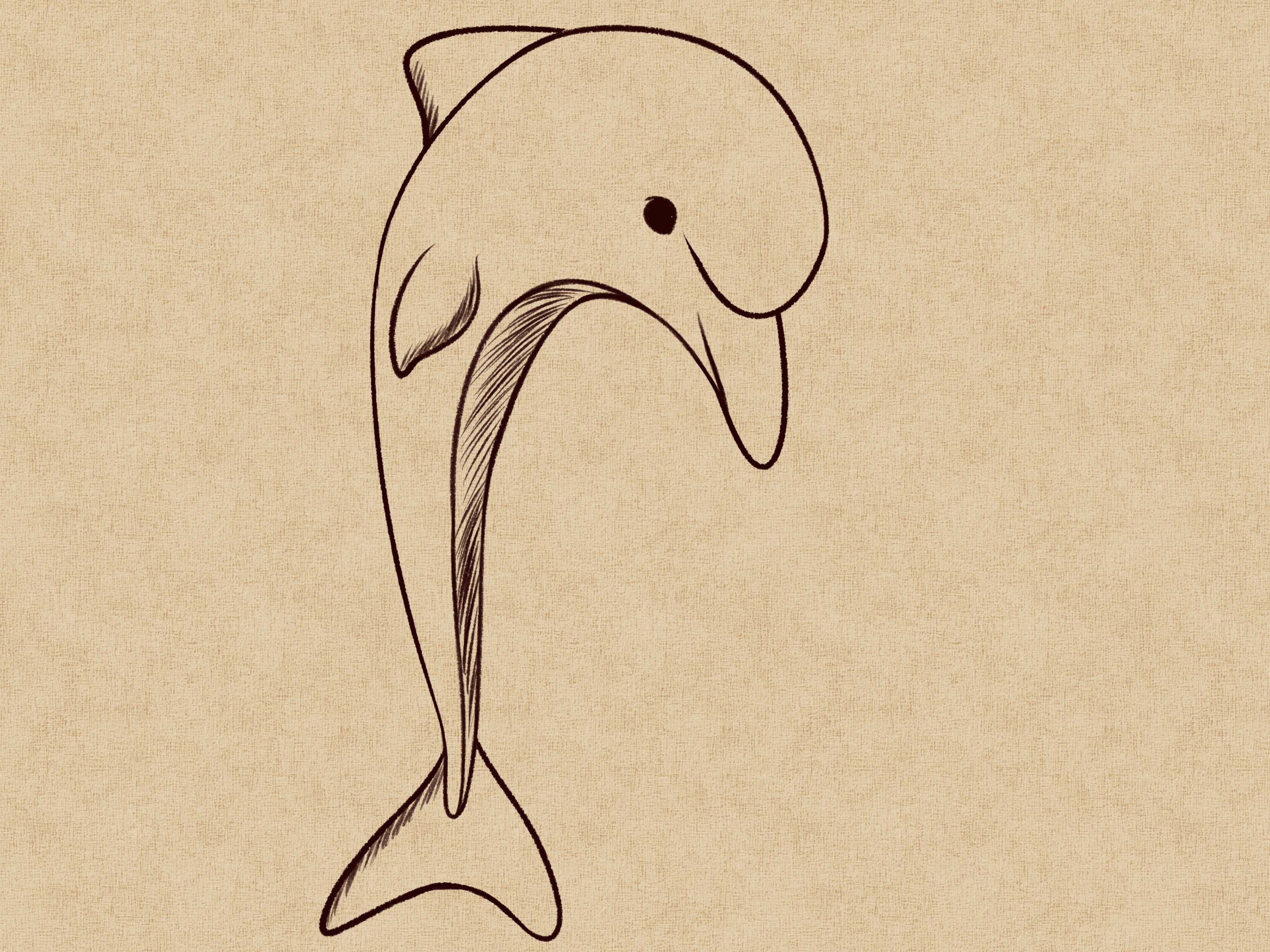 3200x2400 How To Draw A Dolphin Steps - Dolphin Drawing Easy