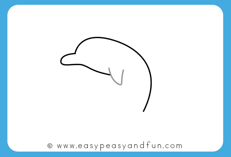 800x545 How To Draw A Dolphin Step - Dolphin Drawing Easy