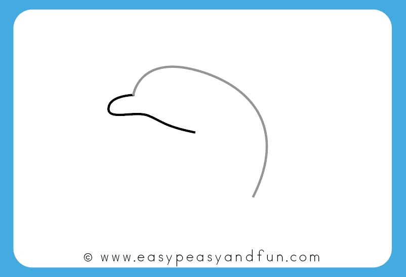 802x547 How To Draw A Dolphin Step - Dolphin Drawing For Kids