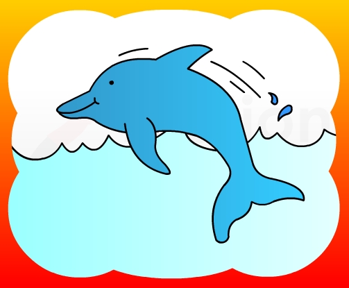 503x415 How To Draw Dolphin For Kids - Dolphin Drawing For Kids