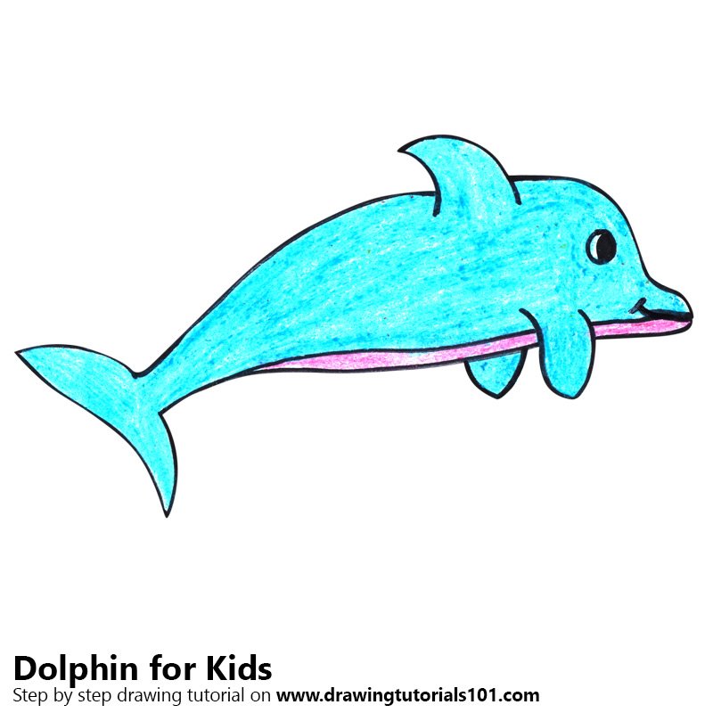 800x800 Learn How To Draw A Dolphin For Kids Very Easy - Dolphin Drawing For Kids