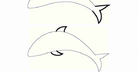 476x250 Dolphin Drawing Picture For Kids And Colouring Easy Step Realistic - Dolphin Drawing For Kids