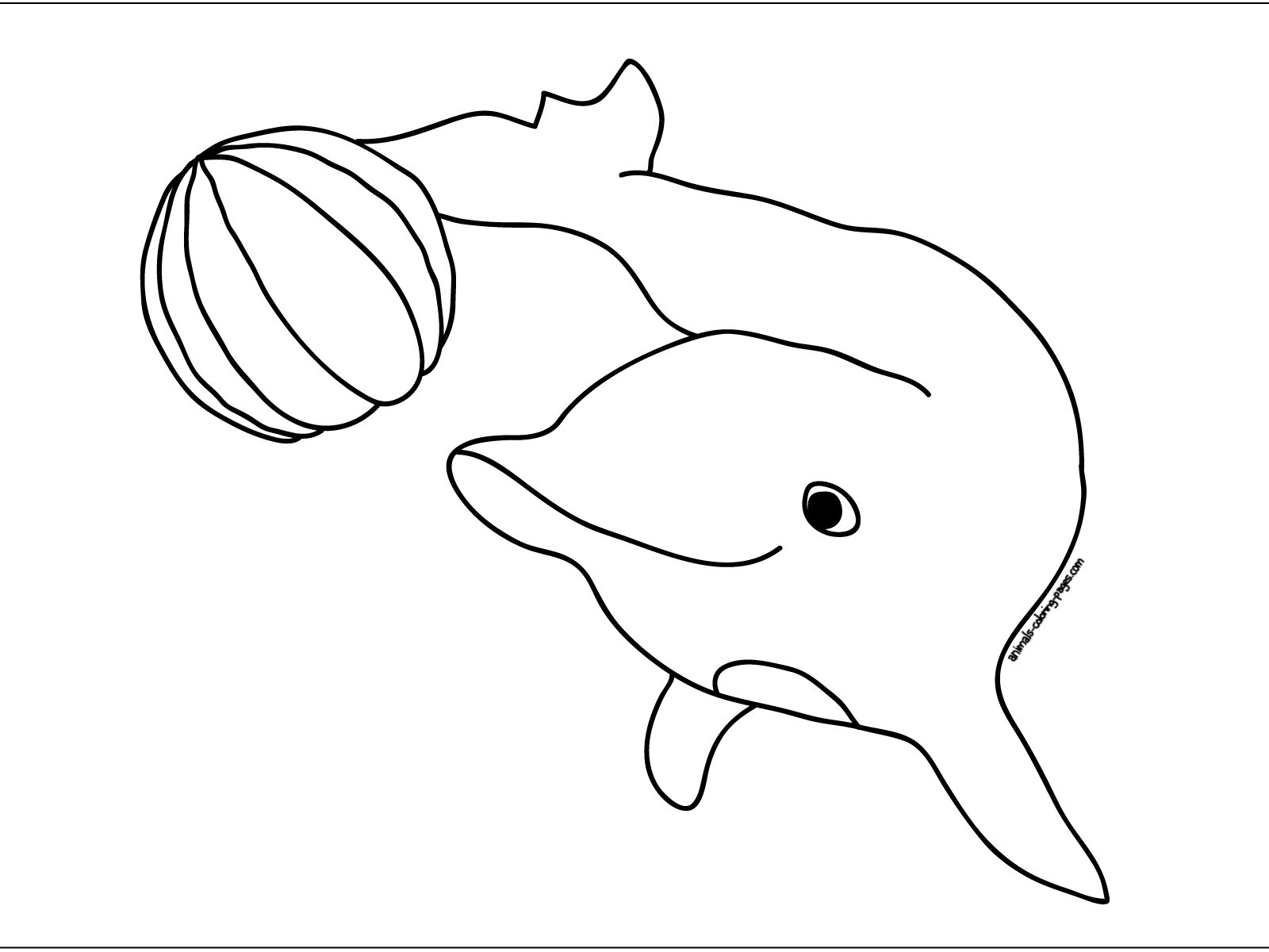 1600x1200 Dolphin Drawings - Dolphin Drawing For Kids