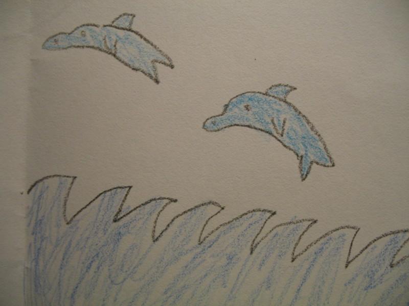 800x600 Dolphin Drawings Clipart Tattooed Tattoo And Sketches - Dolphin Drawing For Kids