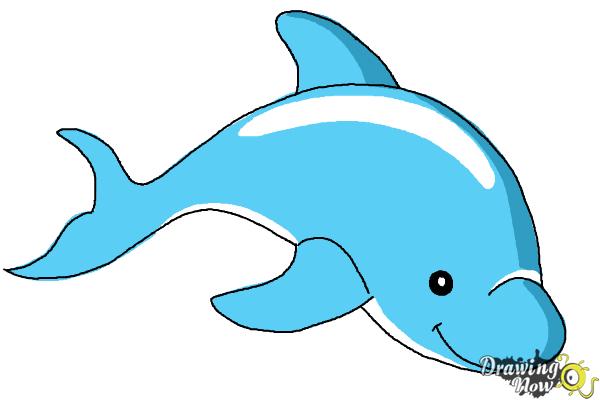 600x400 How To Draw A Dolphin - Dolphin Drawing Images