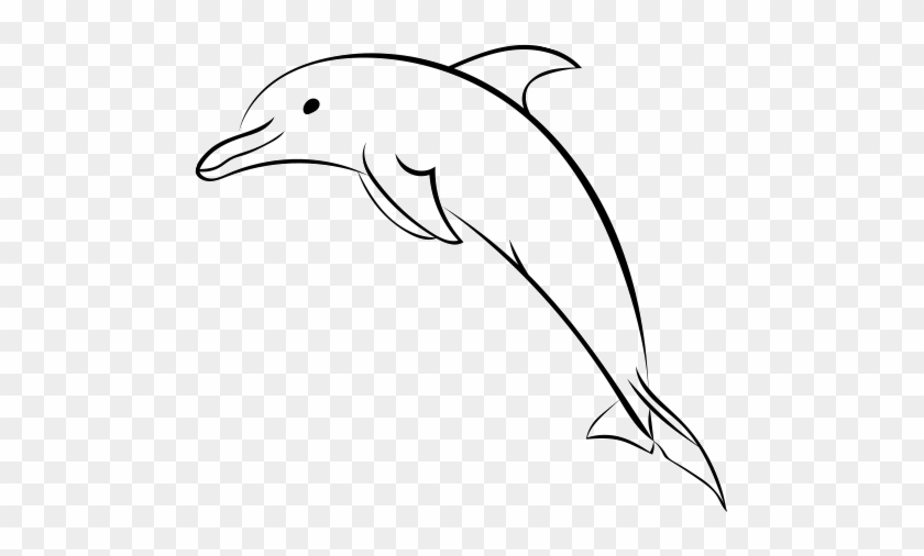 840x506 Spinner Dolphin Drawing At Getdrawings - Dolphin Drawing Images
