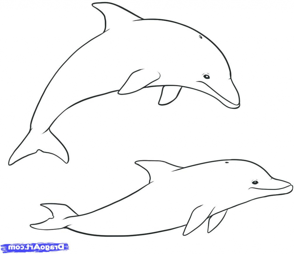 Dolphin Drawing Images at PaintingValley.com | Explore collection of ...