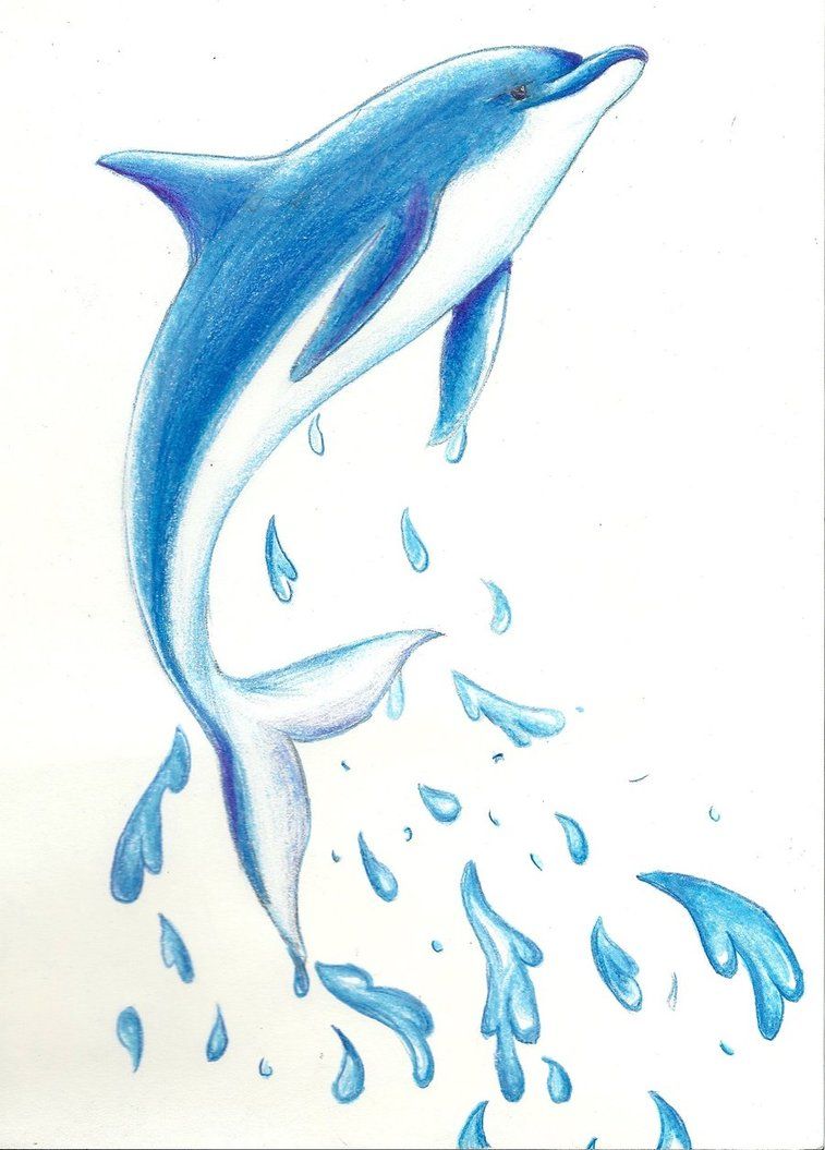 757x1055 Dolphin Drawing - Dolphin Drawing Images
