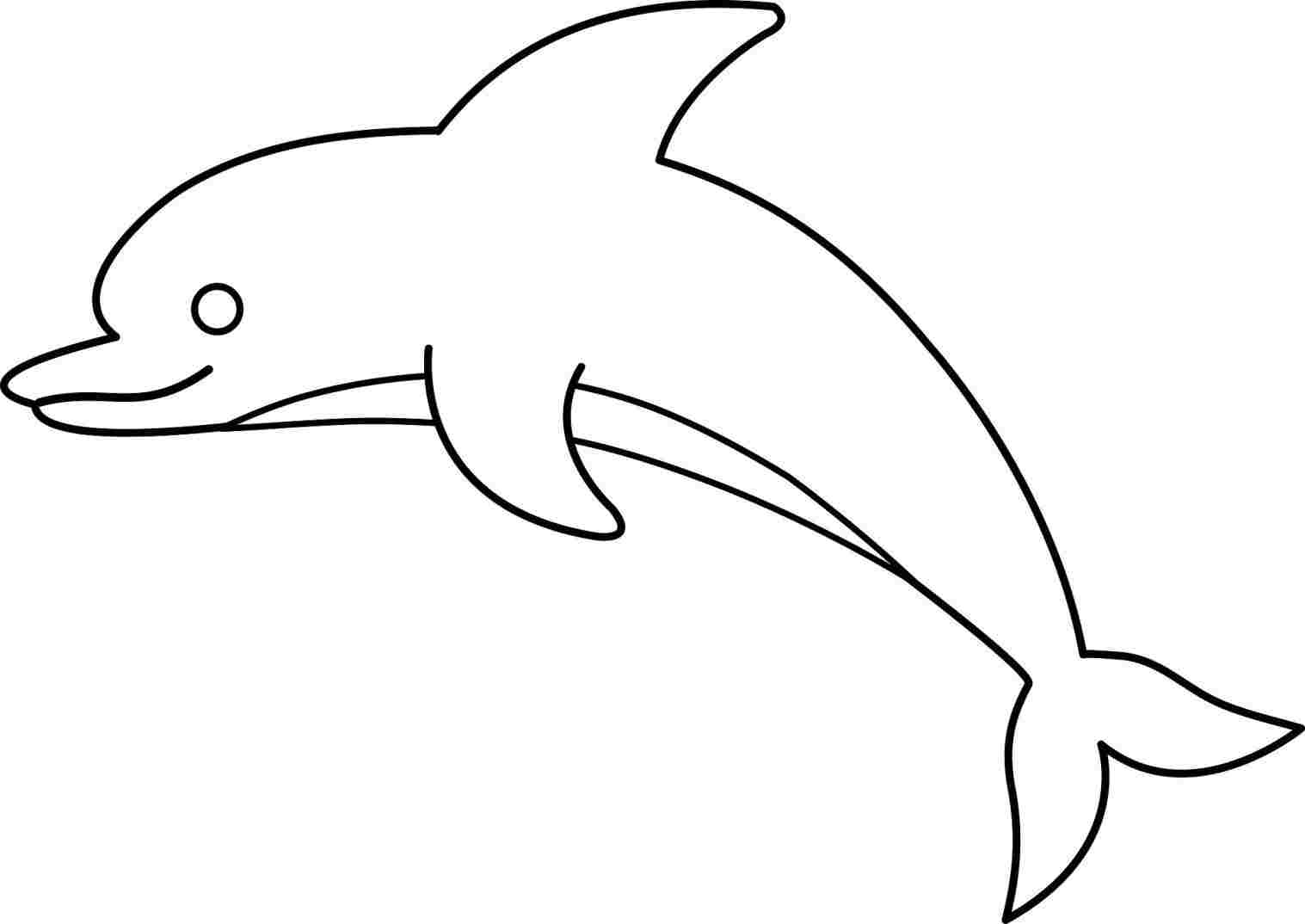 1517x1074 how simple dolphin drawing to draw a dolphin art for kids - Dolphin Drawing Images