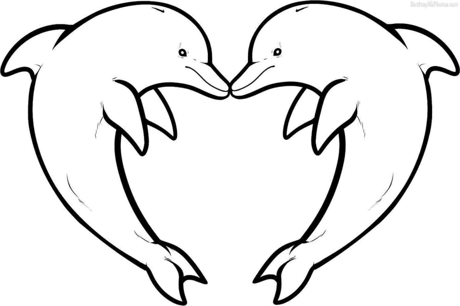 1517x1011 wapousrhwapous how easy dolphin drawing to draw a dolphin easy - Dolphin Drawing Images