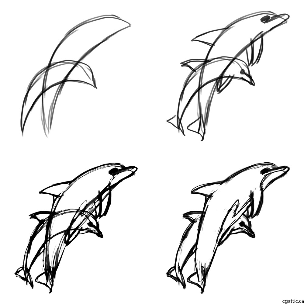 1000x1000 Cartoon Dolphin Drawing In Steps With Photoshop - Dolphin Drawing Images