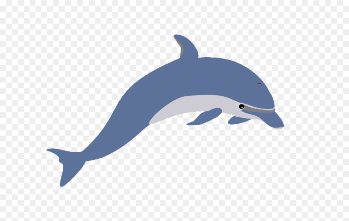 1180x750 Dolphin Cetacea Download Drawing Computer Cc0 - Dolphin Drawing Images