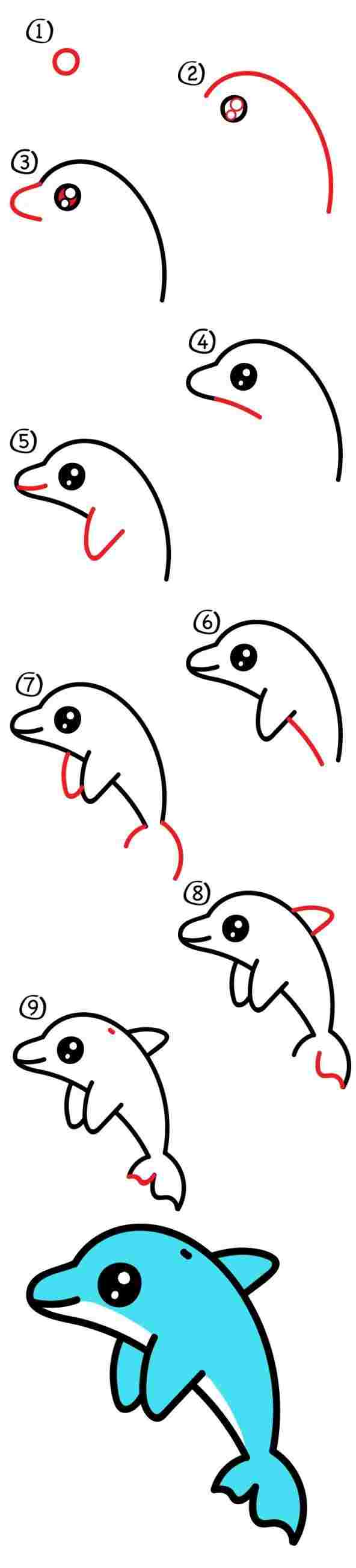 Best Step By Step On How To Draw A Dolphin  The ultimate guide 