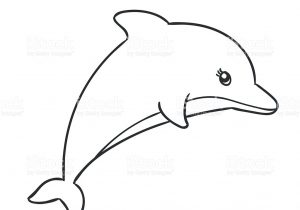 300x210 Dolphin Drawing Step - Dolphin Drawing Step By Step