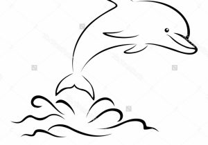 300x210 Dolphin Drawing Step - Dolphin Drawing Step By Step