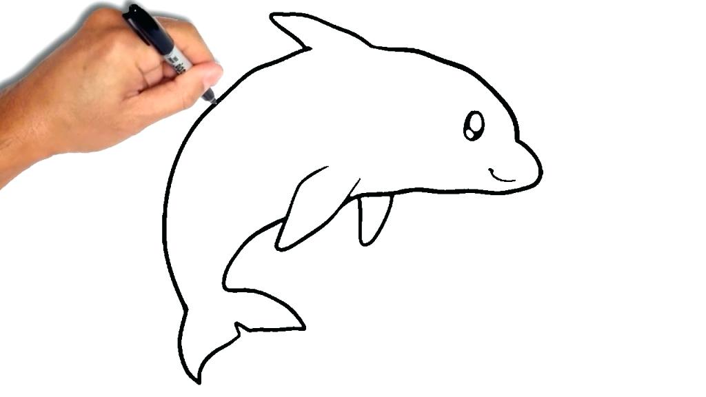 1024x576 How To Draw A Dolphin Step - Dolphin Drawing Step By Step