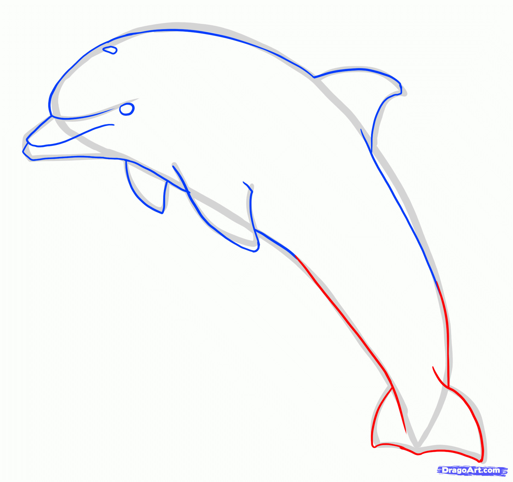 1700x1599 how to draw a dolphin how to draw a dolphin jumping stepstep - Dolphin Drawing Step By Step