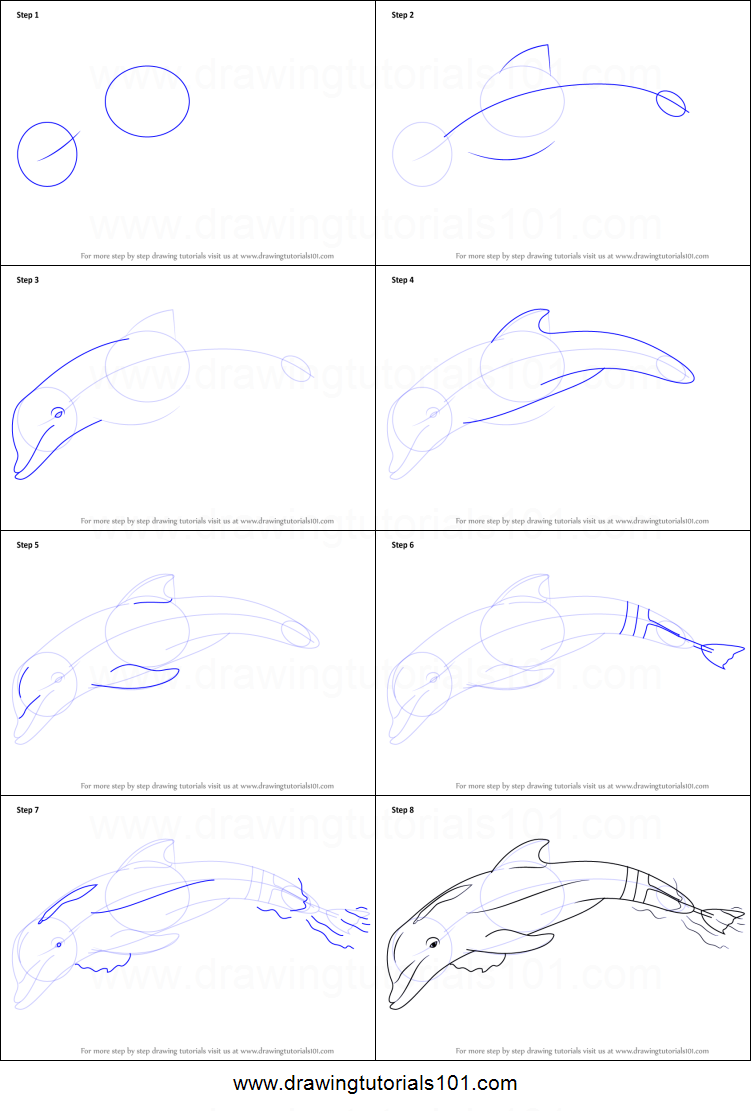 751x1111 How To Draw Winter The Dolphin Printable Step - Dolphin Drawing Step By Step